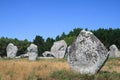 Menir of Carnac(Britain-French) Royalty Free Stock Photo