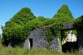 Menlo Castle, Ireland Royalty Free Stock Photo