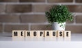 menopause word written on wood block. menopause text on table, concept