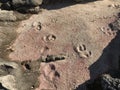 This is a pink sand at Binibeca village.