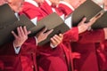 Mens choir performing in a cathedral Royalty Free Stock Photo