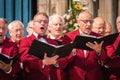 Mens choir performing in a cathedral Royalty Free Stock Photo