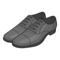 Mens classic shoes icon, cartoon style