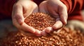 Mens hands gently grasp flax seeds Royalty Free Stock Photo