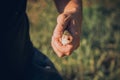 Mens hands holding a rudd fish - Scardinius erythrophthalmus -caught during fishing