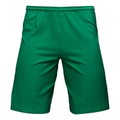 Mens sports green shorts