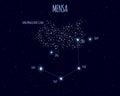 Mensa constellation, vector illustration with basic stars Royalty Free Stock Photo