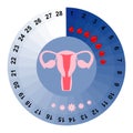 Menstrual cycle calendar Royalty Free Stock Photo