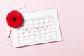 Menstrual cycle calendar on a pink wooden background. Gerbera and tampons, pads. Ovulation concept.