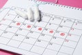 Menstrual cycle calendar. tampons, pads. Ovulation concept. menstruation concept Royalty Free Stock Photo