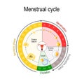 Menstrual cycle chart Royalty Free Stock Photo