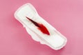 Menstrual cycle, feminine care, menstruation and intimate products concept with sanitary pad and a red feather as a substitute for