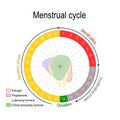 Menstrual cycle and hormone level Royalty Free Stock Photo