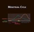 Menstrual cycle. Menstruation, ovulation. Hormones Estrogen and Progesterone. Menstrual cycle diagram. Vector Royalty Free Stock Photo