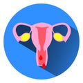 Menstrual cycle vector icon Royalty Free Stock Photo