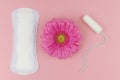 Daily menstrual woman pad and female tampon for hygiene or blood period with a pink gerbera on a pink background. Cotton