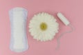 Daily menstrual woman pad and tampon for hygiene or blood period with a white gerbera on a pink background. Cotton swab Royalty Free Stock Photo