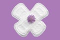 Daily, menstrual woman pads for hygiene or blood period. Menstruation sanitary soft pads with flowers, hygiene protection. Woman c