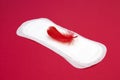 Menstruation sanitary soft pad, hygiene protection. Red feather and daily menstrual woman pad for hygiene or blood period. Woman c