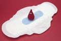 Menstruation sanitary soft pads and tampons for woman hygiene protection and crochet blood drop. Woman critical days, gynecologica