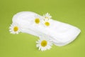 Menstruation sanitary woman hygiene for blood period. Hygiene conceptual photo. One medicinal chamomile flower on menstrual sanita