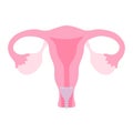 Menstruation vector illustration. Uterus with menstrual cups. Women health