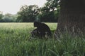 A mental health concept of a hooded man sitting in a meadow, under a tree, looking down