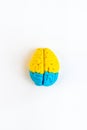 Mental health concept. Human brain of colorfull clay, top view