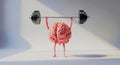 Mental Strength Training: Brain Lifting Barbell Royalty Free Stock Photo