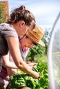 A mentally disabled woman and a caregiver standing at a raised bed in the garden and harvest mangold together