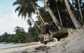 Mentawai women working in the beach