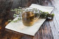 Mentha pulegium infusion