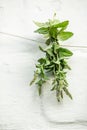 Mentha suaveolens, apple mint, pineapple mint, woolly mint or round-leafed mint suspended for drying with an herbalist.