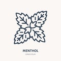 Menthol flat line icon. Medicinal plant leaves vector illustration. Thin sign for herbal medicine, mint logo