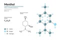Menthol. Organic Compound Made Synthetically. Metabolite of Lamiaceae Family Plants. C10H20O. Structural Chemical Formula