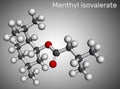 Menthyl isovalerate, validolum, validol molecule. It is drug, menthyl ester of isovaleric acid. Molecular model