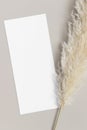 Menu card mockup with a pampas grass deocoration, 4x9 ratio