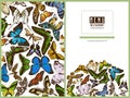 Menu cover design with colored papilio ulysses, morpho menelaus, graphium androcles, morpho rhetenor cacica, papilio