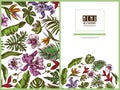 Menu cover floral design with colored monstera, banana palm leaves, strelitzia, heliconia, tropical palm leaves, orchid