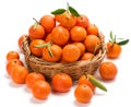 Meny tangerines with leaves in a basket
