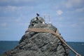 Meoto Iwa Wedded Rocks At Ise Japan 2016