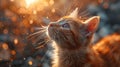 Meow-naut: A fearless feline takes a giant leap for cat-kind as it explores the infinite reache