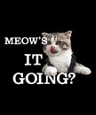 Meow\'s It Going Shirt Design