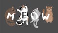 Meow slogan with sleeping cats