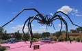 Meow Wolf Spider Statue Royalty Free Stock Photo