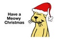 Meowy Christmas Royalty Free Stock Photo