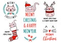 Meowy Christmas with cute cats, vector set