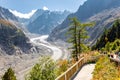 Mer de Glace glacier, Chamonix, France Alps Royalty Free Stock Photo