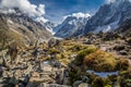 Mer De Glace Glacier From Le Signal Forbes-France Royalty Free Stock Photo