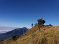 Merapi landscape seen from Mount Merbabu